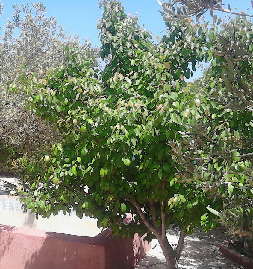Baglio Del Sole Villa San Vito Lo Capo Exterior foto